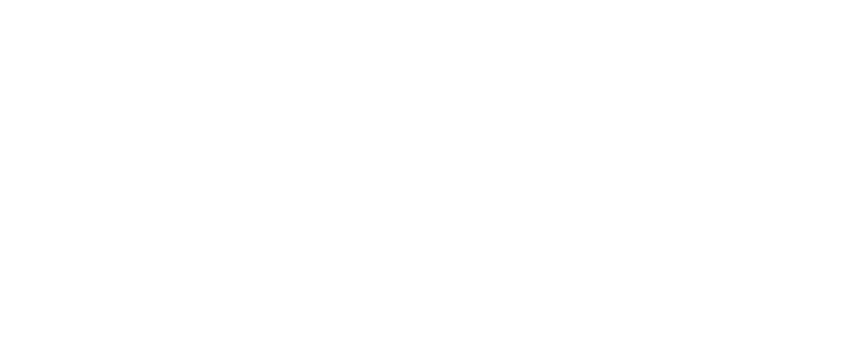 IFES Logo